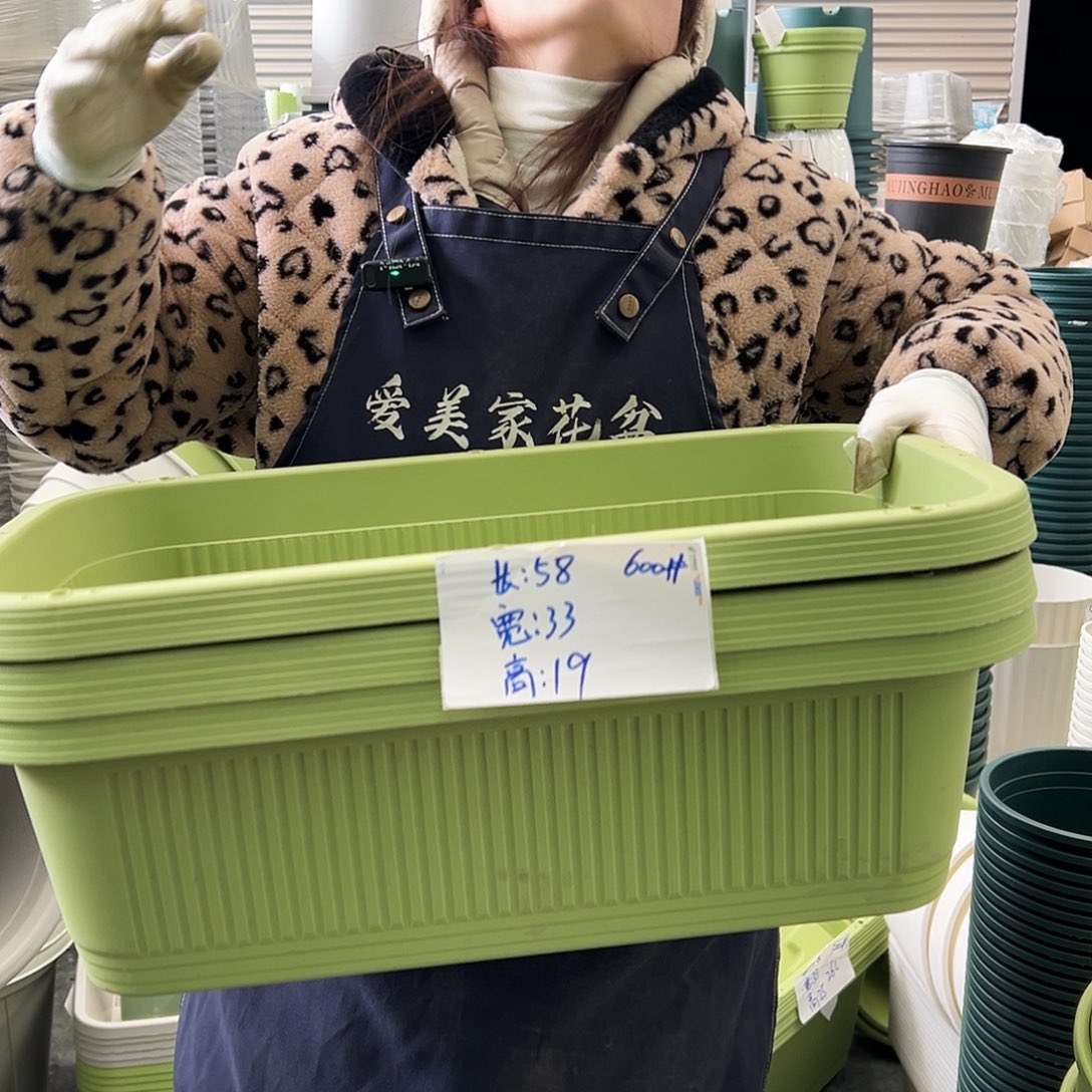 菜盆600#果绿3个无托