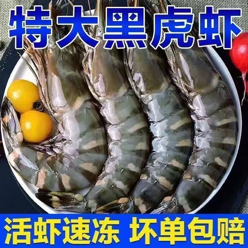 超大规格鲜活速冻黑虎虾 1315规格，净重三斤22只左右 顺丰包邮