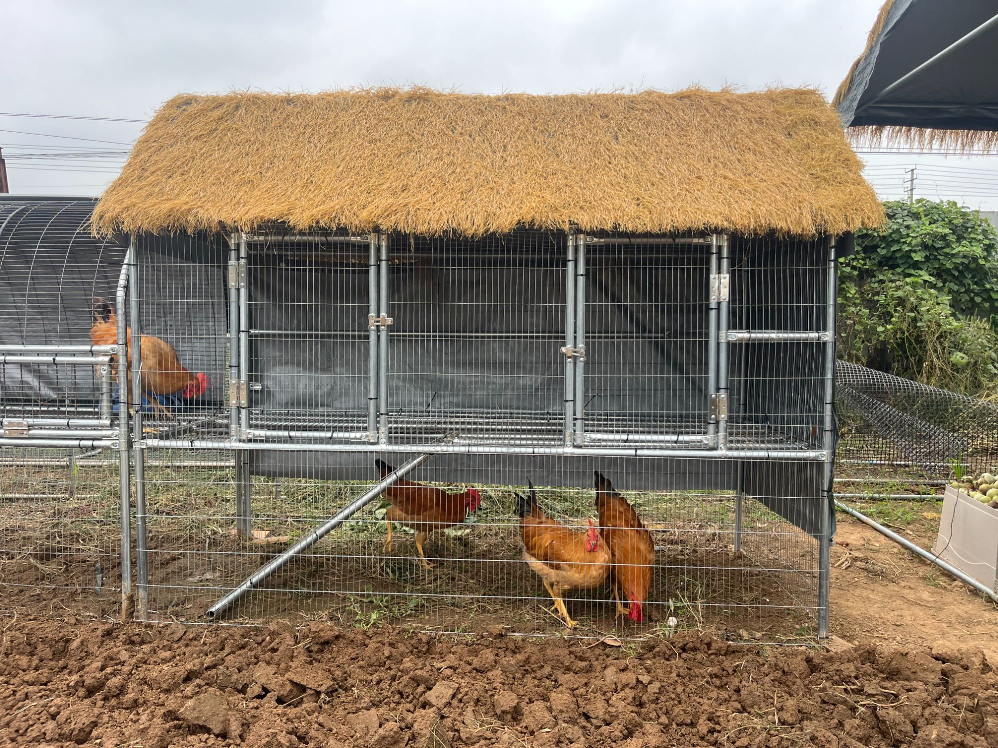 新款全金属上下两层养殖别墅鸡鸭鹅小兔子笼