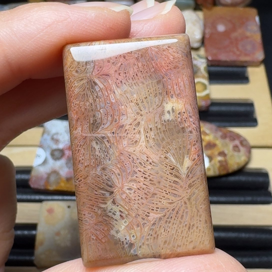 硅化玉红粉黄绿凤尾未镶嵌