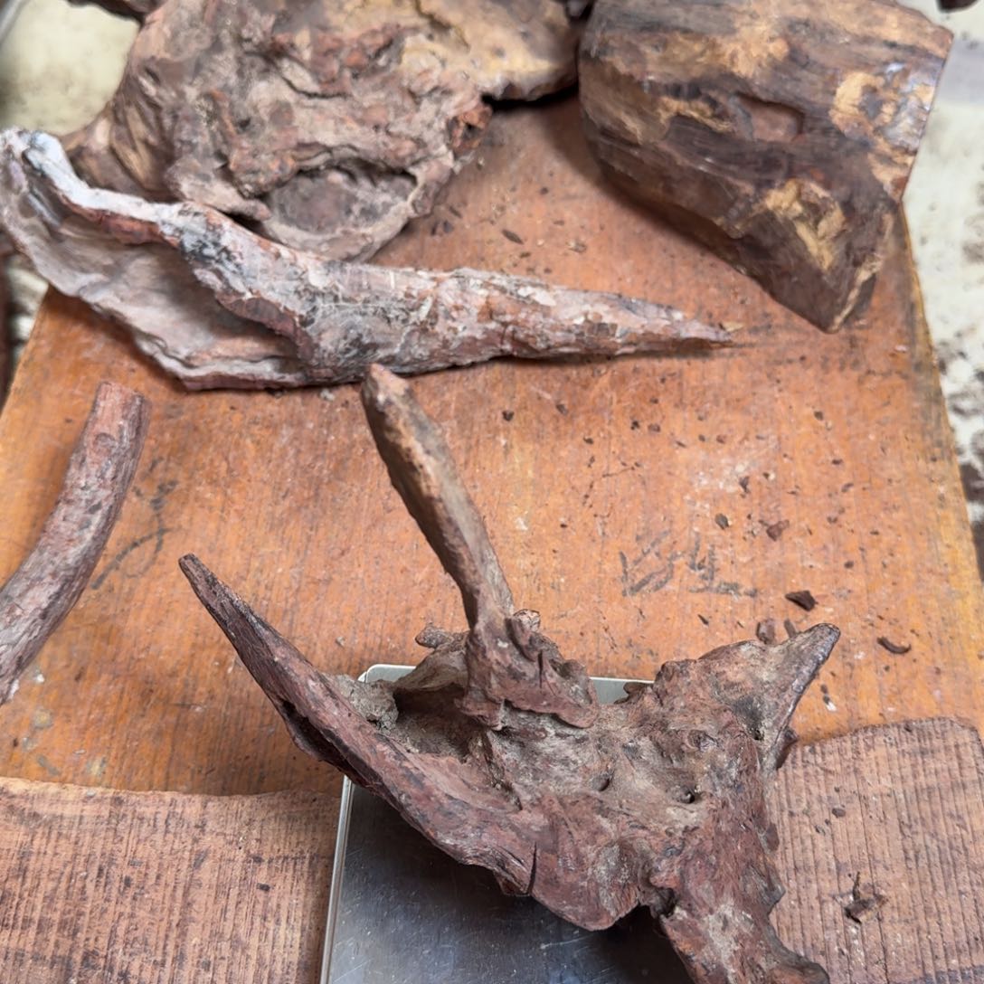 黄花梨/降香黄檀手串原料定制