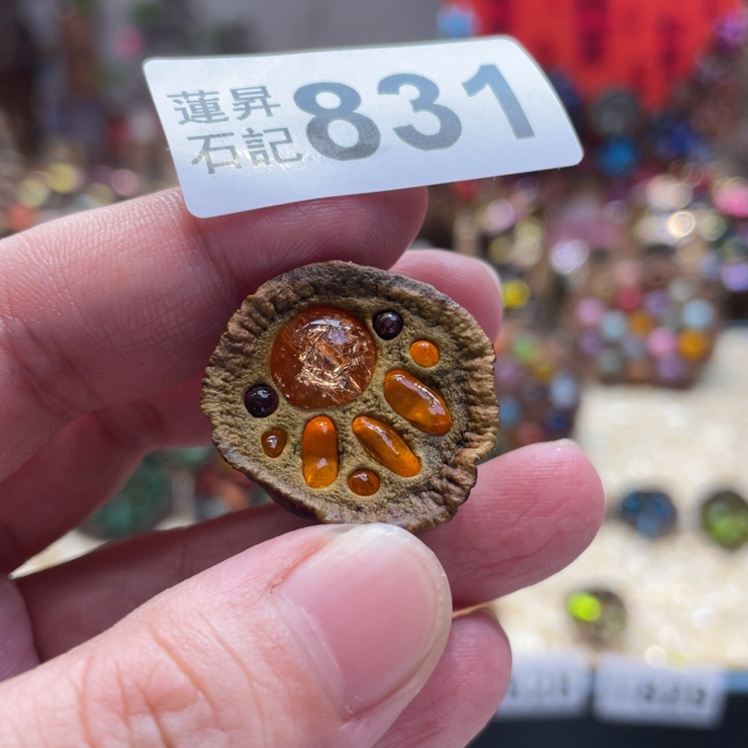 核桃木/黑胡桃（胡桃木）831