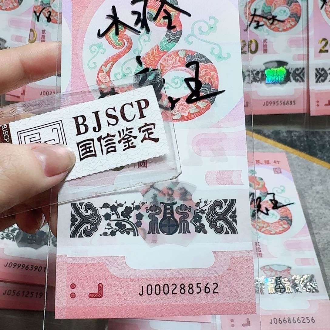 塑料000288562。。。。。。小司令 如意王