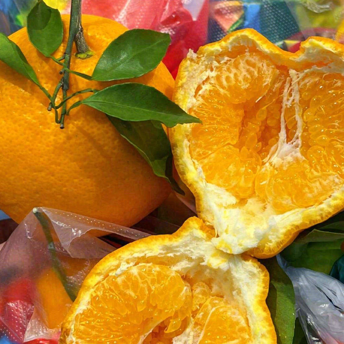 （兴义同城）耙耙柑约1斤四川省