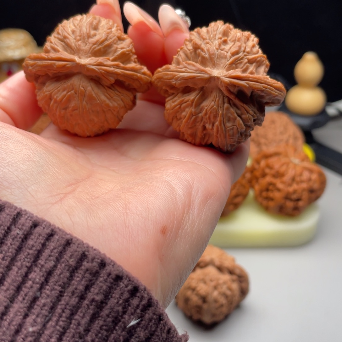 文玩核桃白狮子44