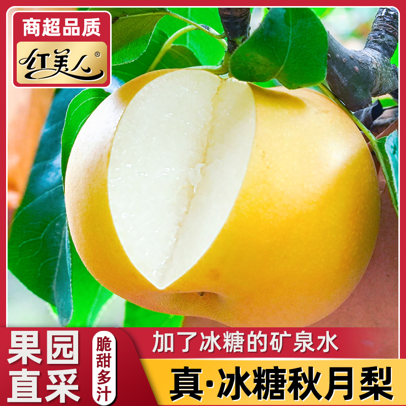 【保真！】正宗山东秋月梨4.5斤 水果礼盒整箱新鲜水果