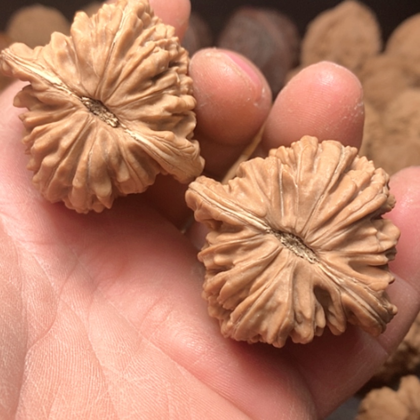 【闪购商品】四座楼