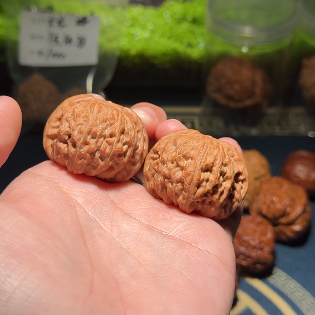 从496号41正磨磨盘狮子头文玩核桃