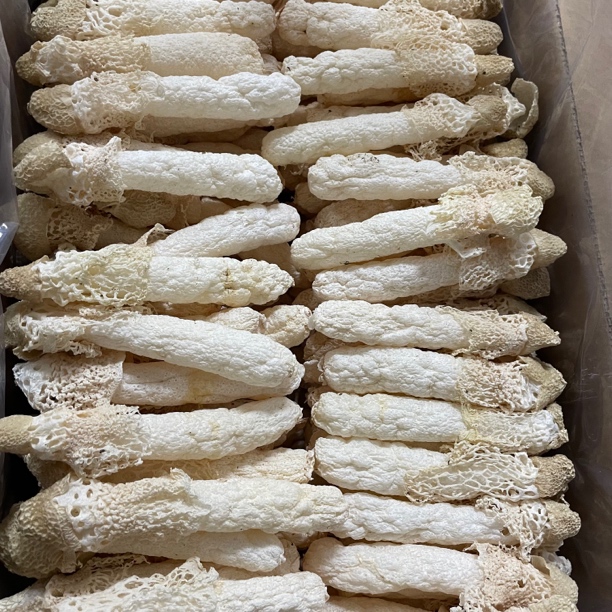 云南楚雄高山竹荪 肉质肥厚 头茬货100g-500g包邮