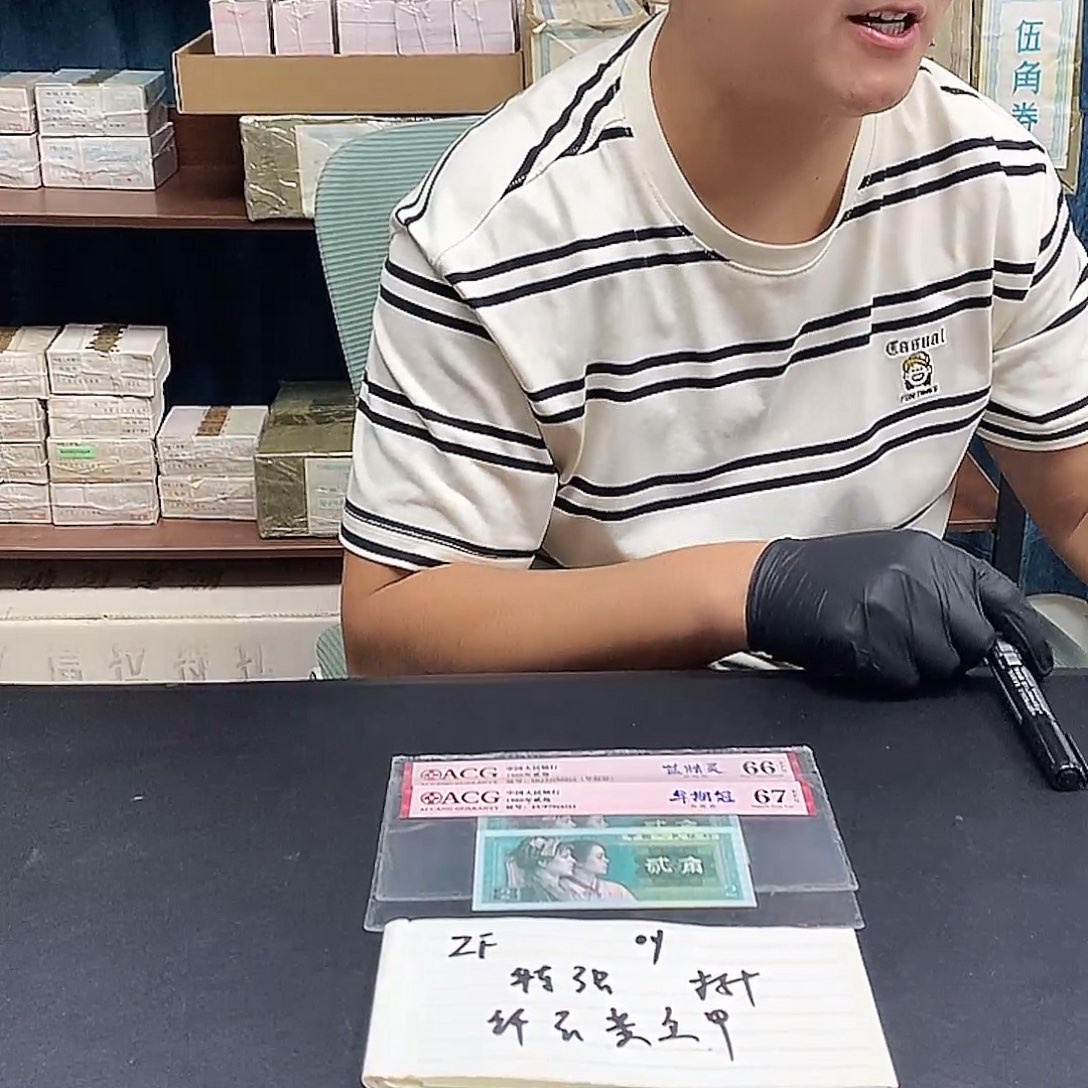 ZF纤云黄金甲标十标十