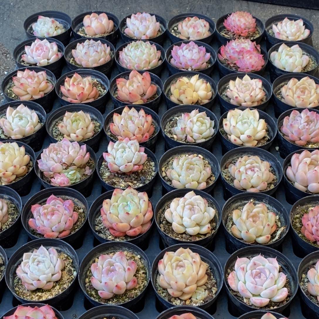 254的人都是这样的人