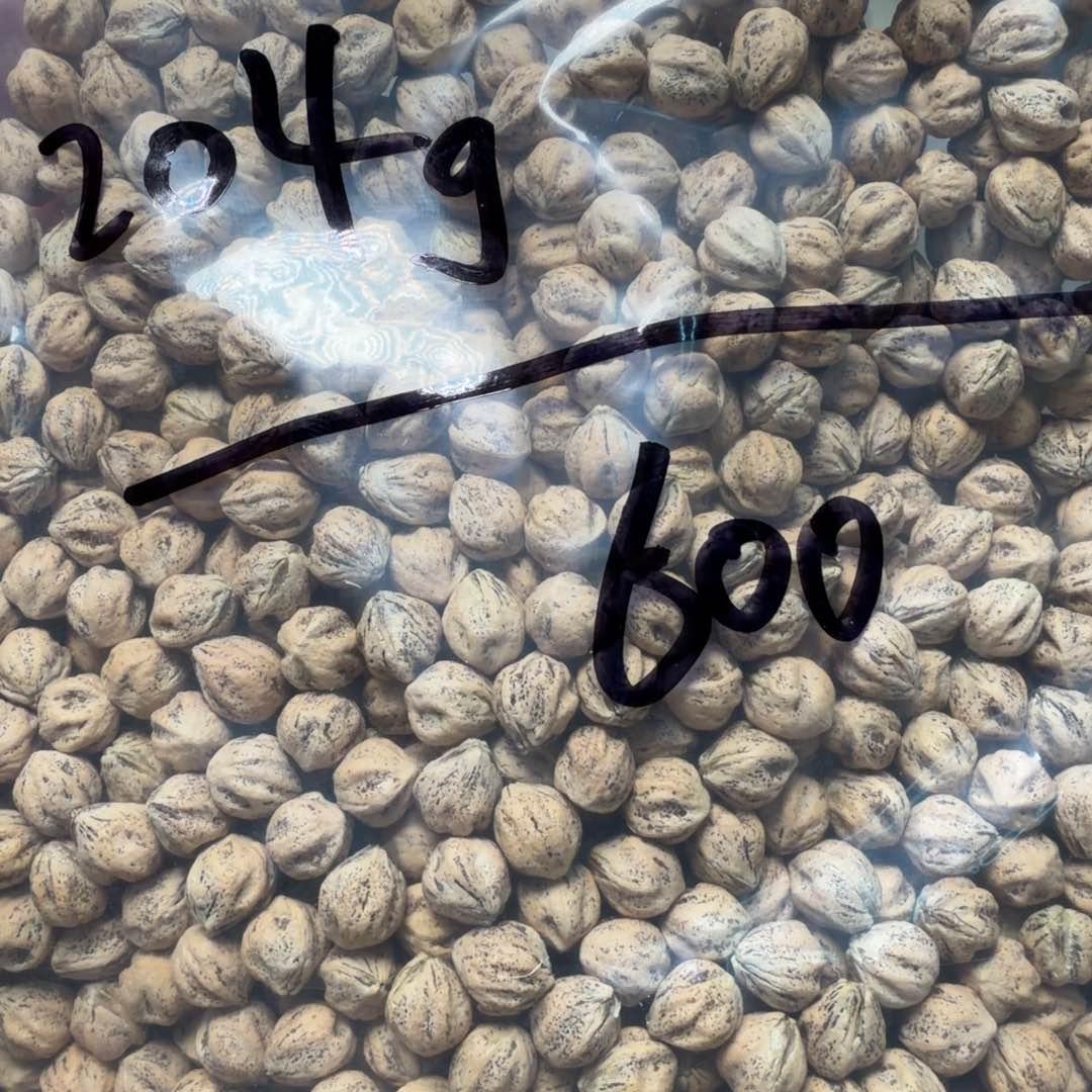 吊坠柏香籽/百香籽深****