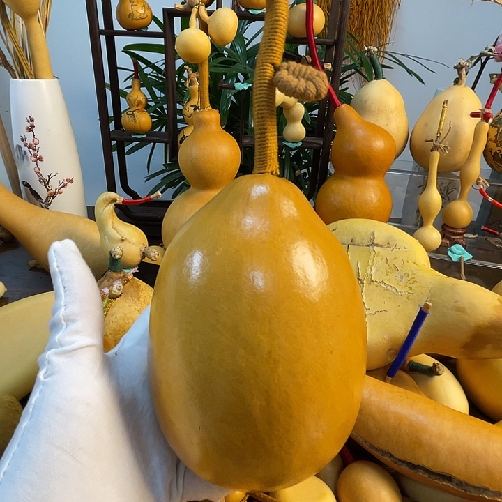 ****有藤手把葫芦精品系列6