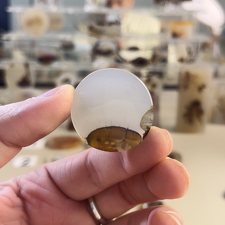 玛瑙/玉髓吊坠(不含链)未镶嵌