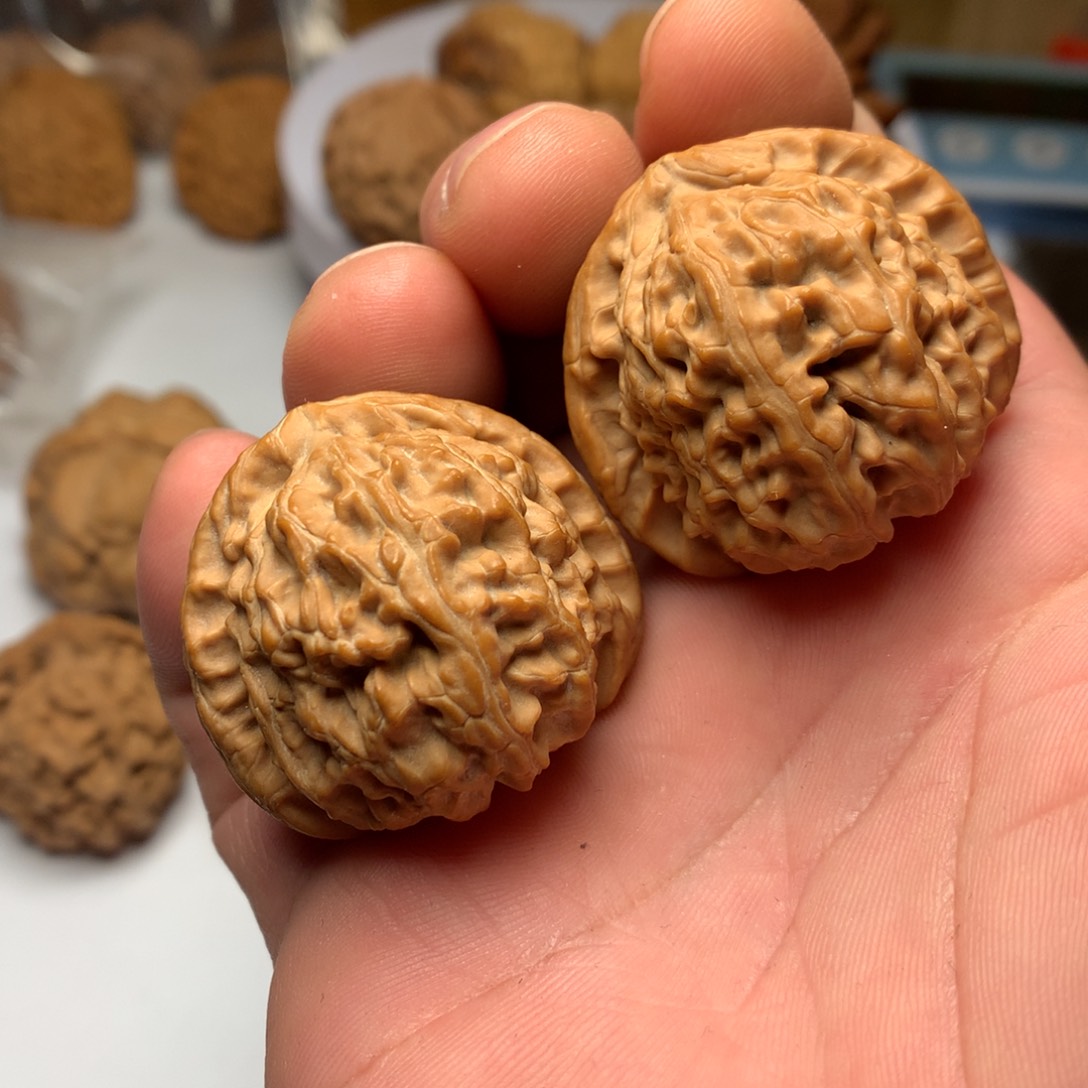 文玩核桃把件白狮子