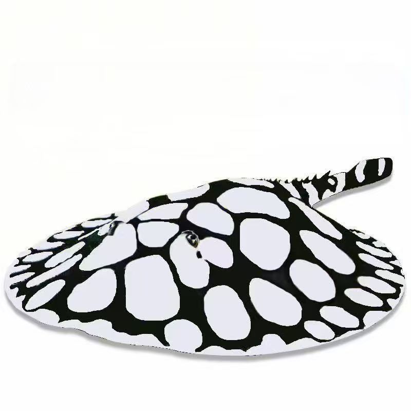 黑白皇冠魟鱼魔鬼鱼黑色鱼水族鱼观赏鱼淡水观赏鱼皇冠魟鱼