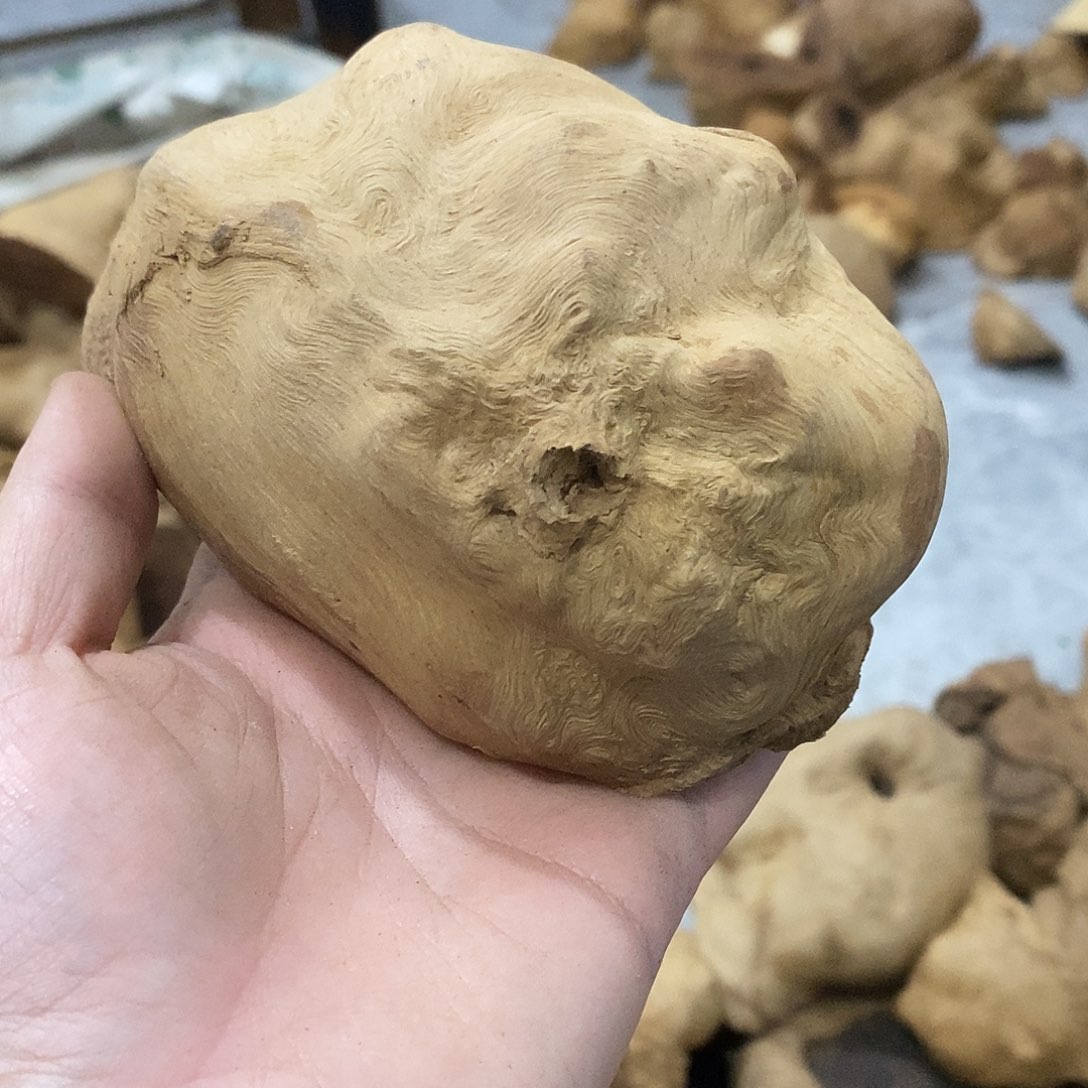 五***黑荔枝木荔枝木原料