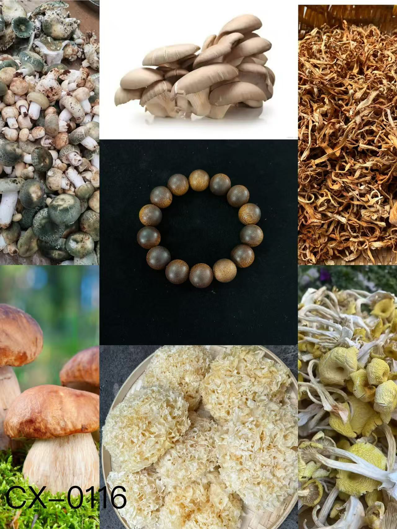 【孙哥专属土特产cx-0116】多样性发货 重量35克