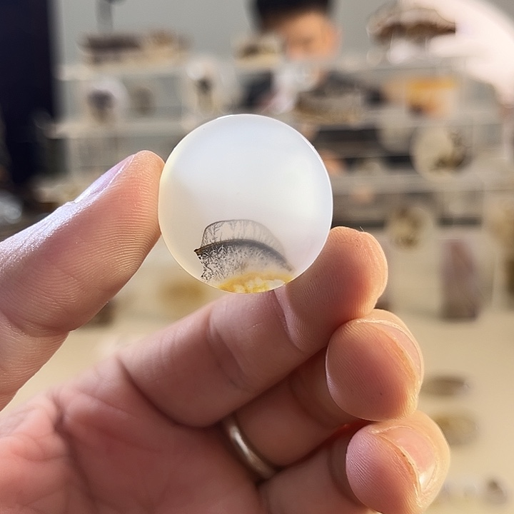 玛瑙/玉髓吊坠(不含链)未镶嵌