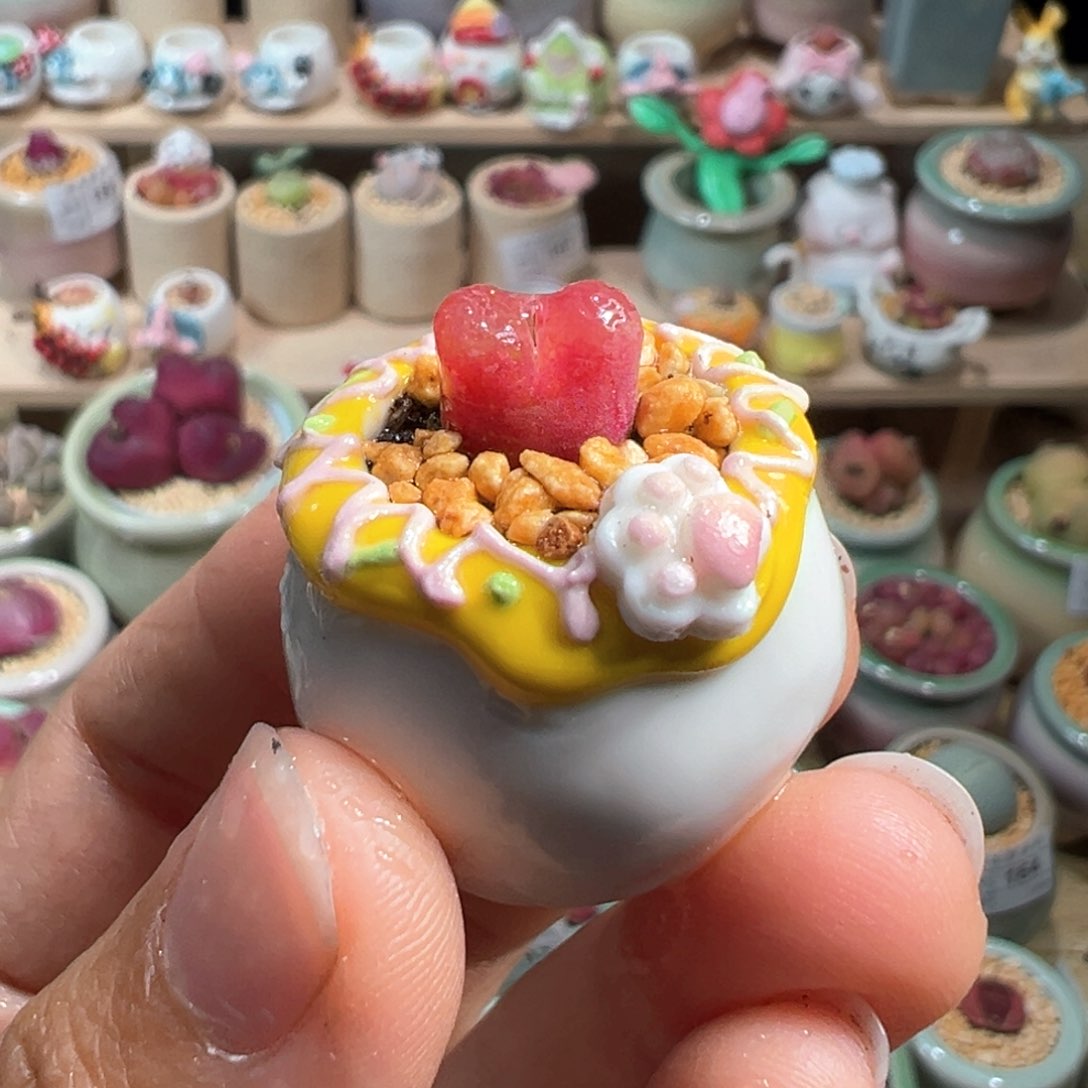 多肉植物208号拇指盆