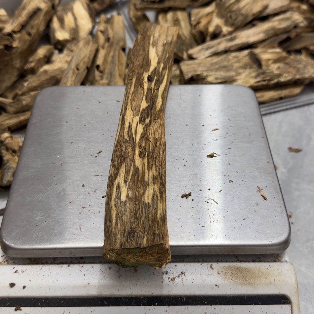 沉香碎屑沉香绿绮楠沉香61克