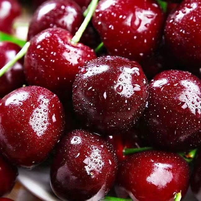 【五斤原箱】智利空运新鲜桑提娜车厘子2JD-4JD包邮内附果径卡2500g阿布桑提娜樱桃智利共和国