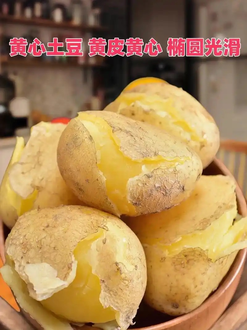 【小林哥专属】云南新鲜现挖黄皮黄心土豆粉面蒸煮炒菜