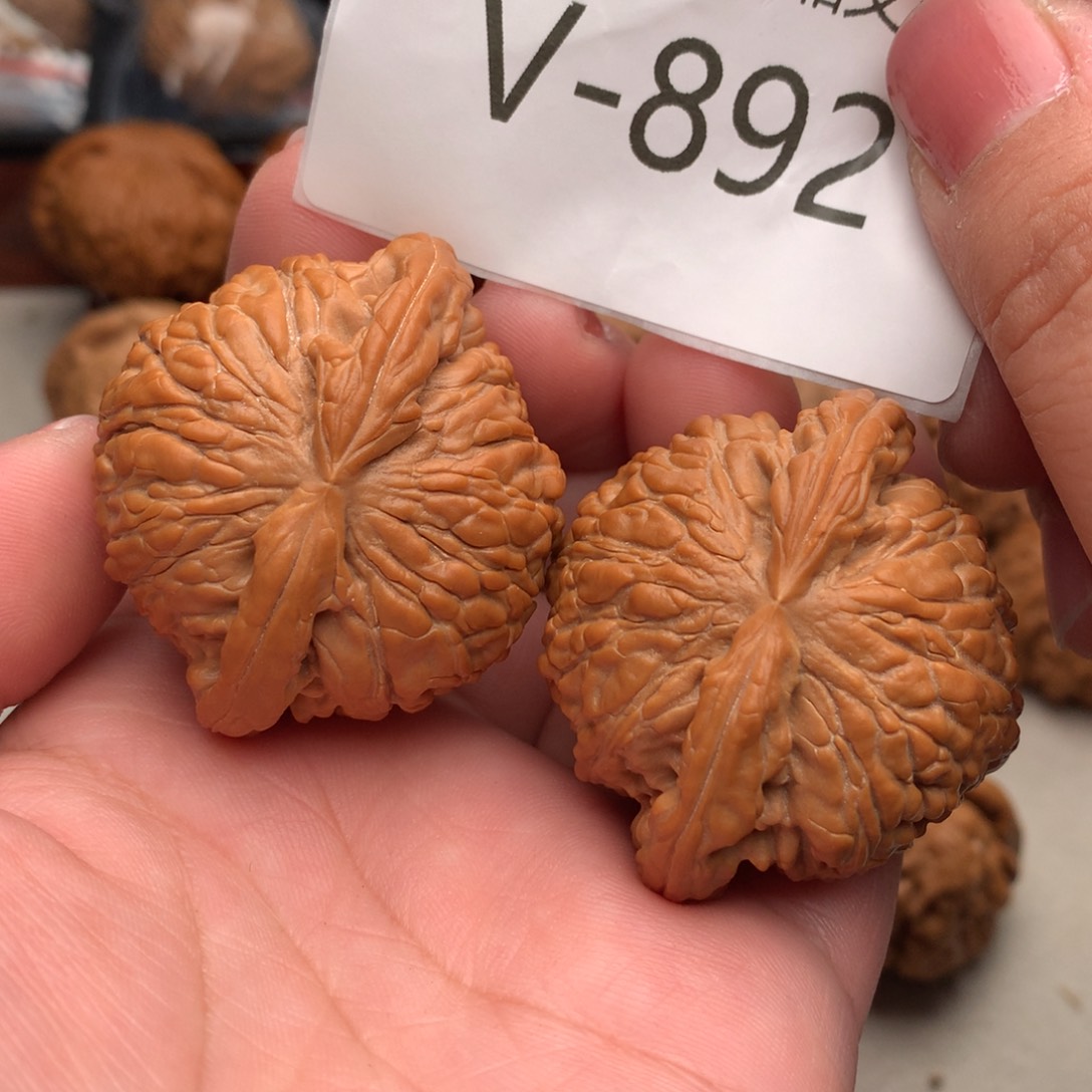 文玩核桃把件～****～45白狮子……….