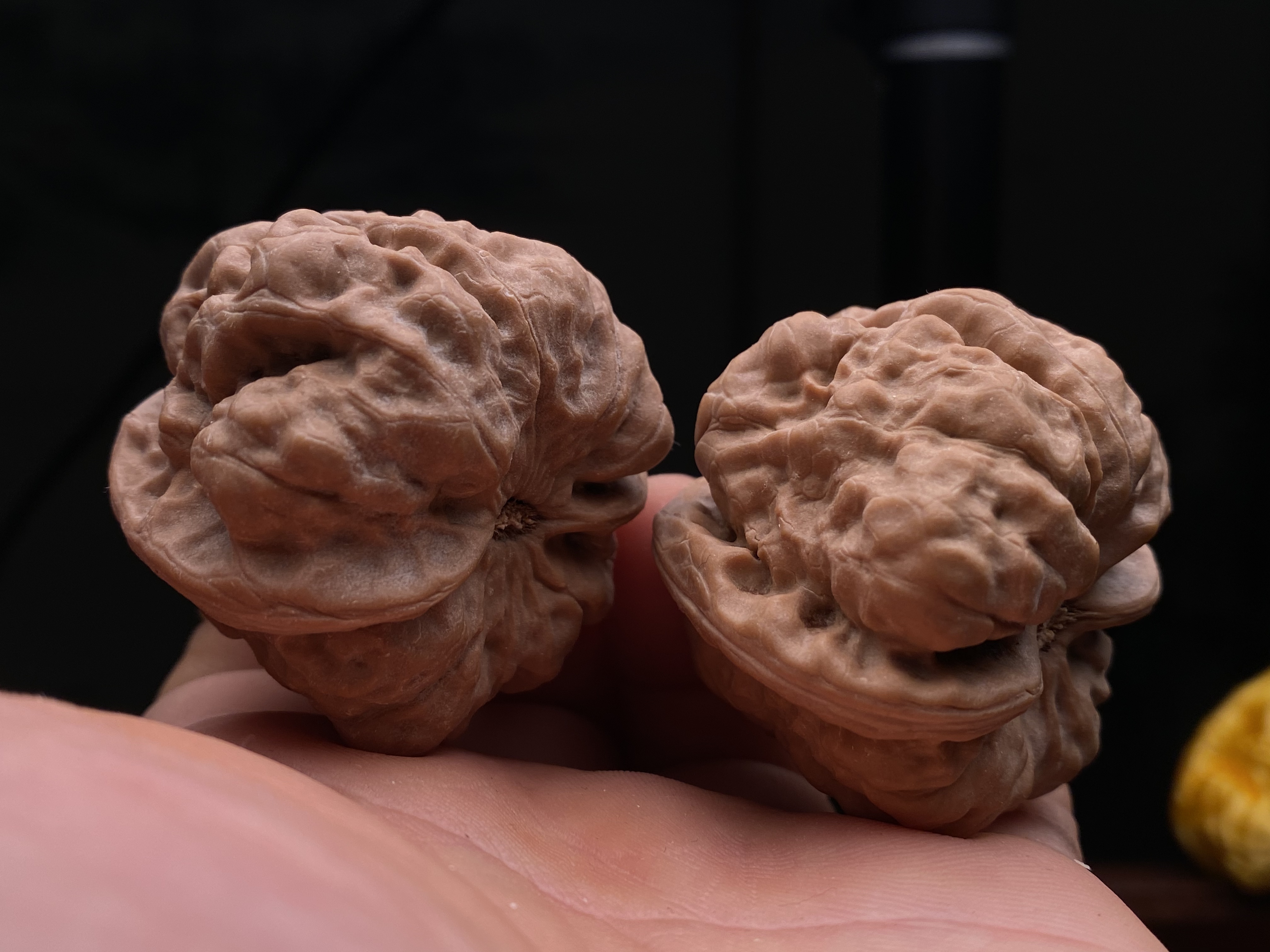 编号25220，边45肚43，延庆一代蛤蟆头，矮桩龟背板板正正！