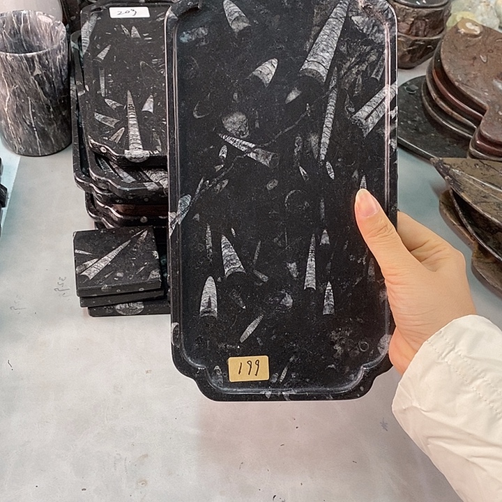 吾***名化石角石化石茶盘