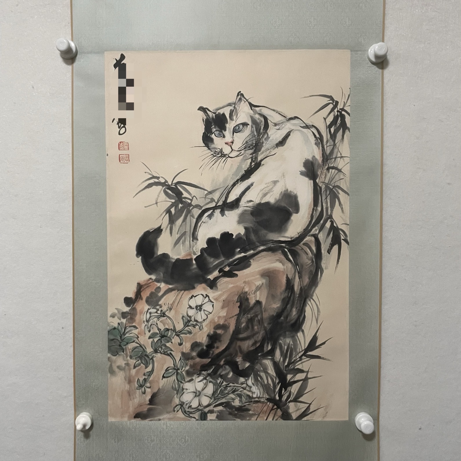 5959猫 纸本设色立轴 44×68