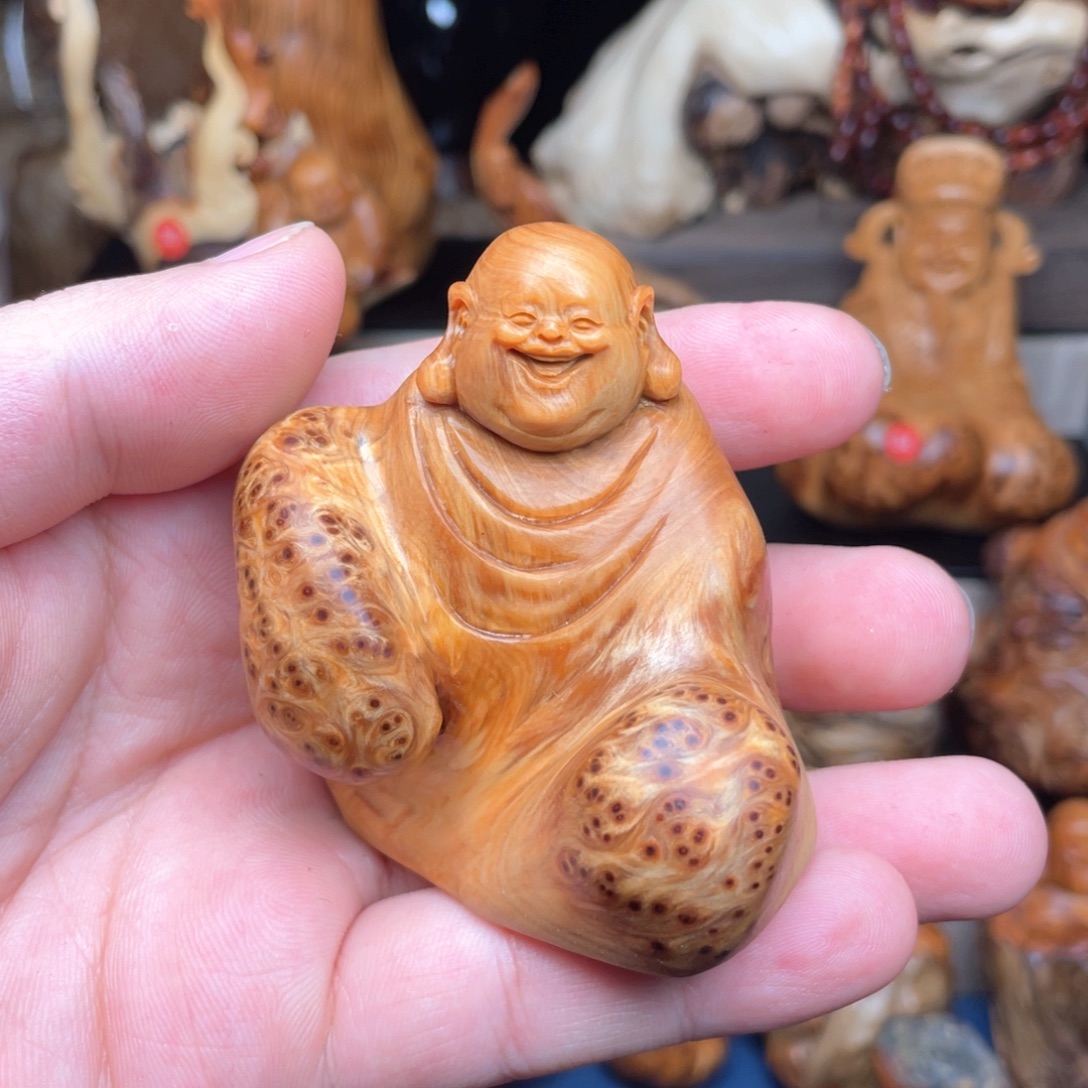 柏木25552255255555559