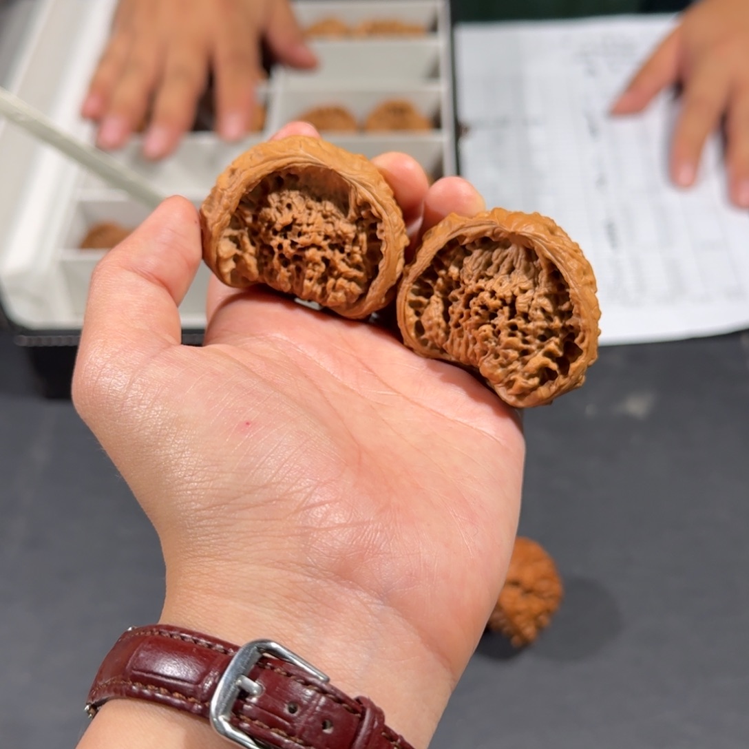 文玩核桃把件91号全品聚宝盆蛇王