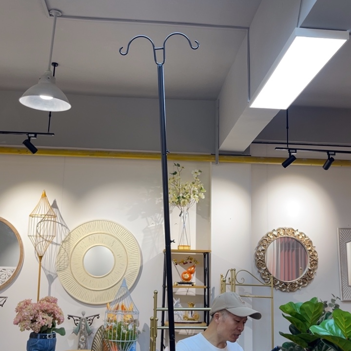 摆件地插爬藤哈哈哈哈哈哈哈哈