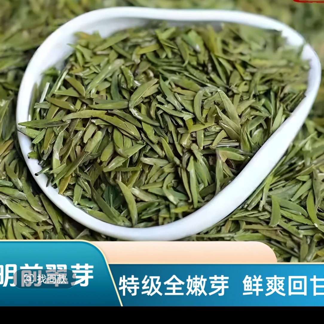  2025年湄潭翠芽明前豆香型特级浓香茶叶