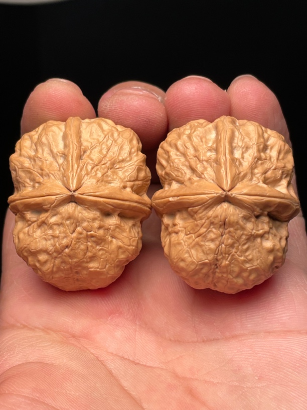 云南铁核桃金刚三棱
