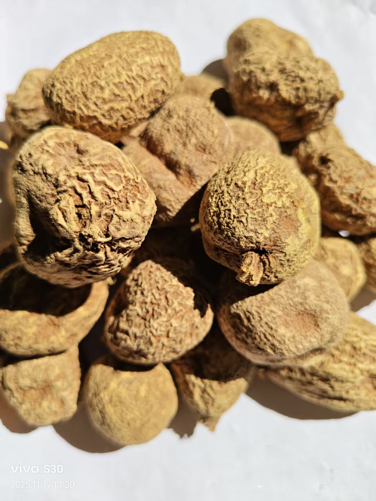 【腾菲】中--缅--现收甄选--凤--煌--- 丹-- 现收山货