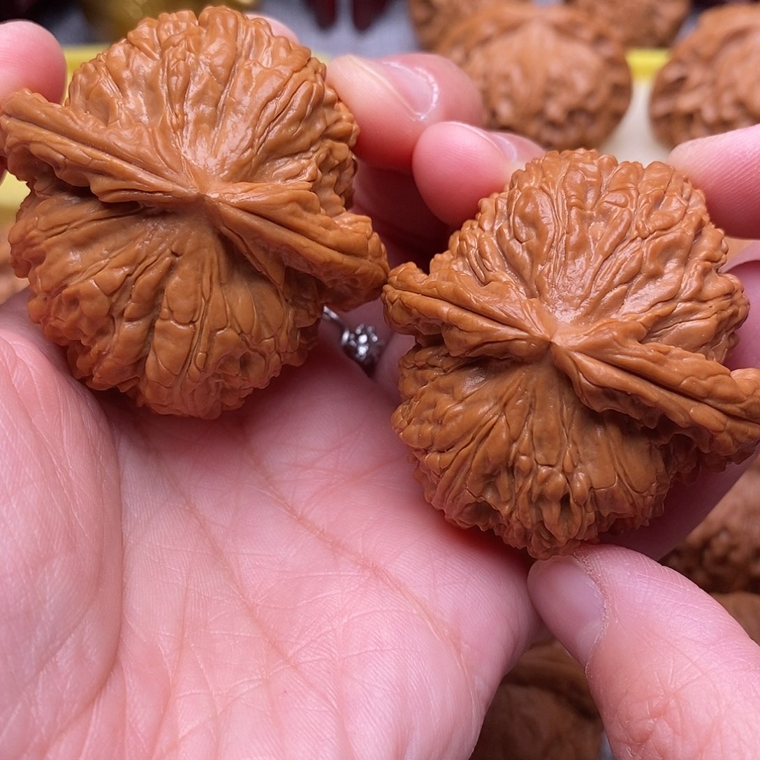 文玩核桃把件毕业全品绝配天花板白狮子48尺