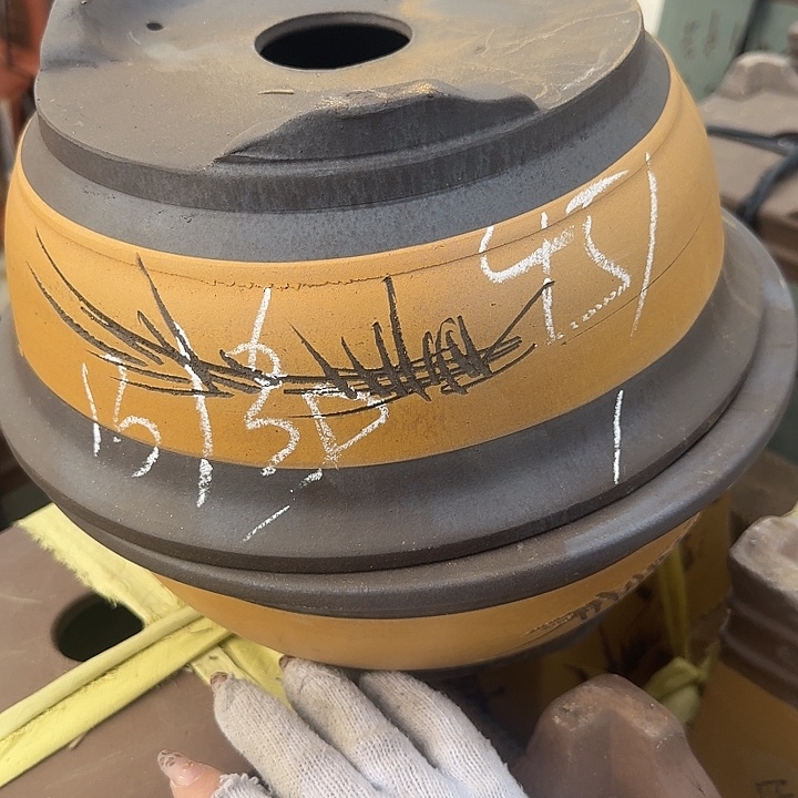 紫砂和花都区将以每年举办