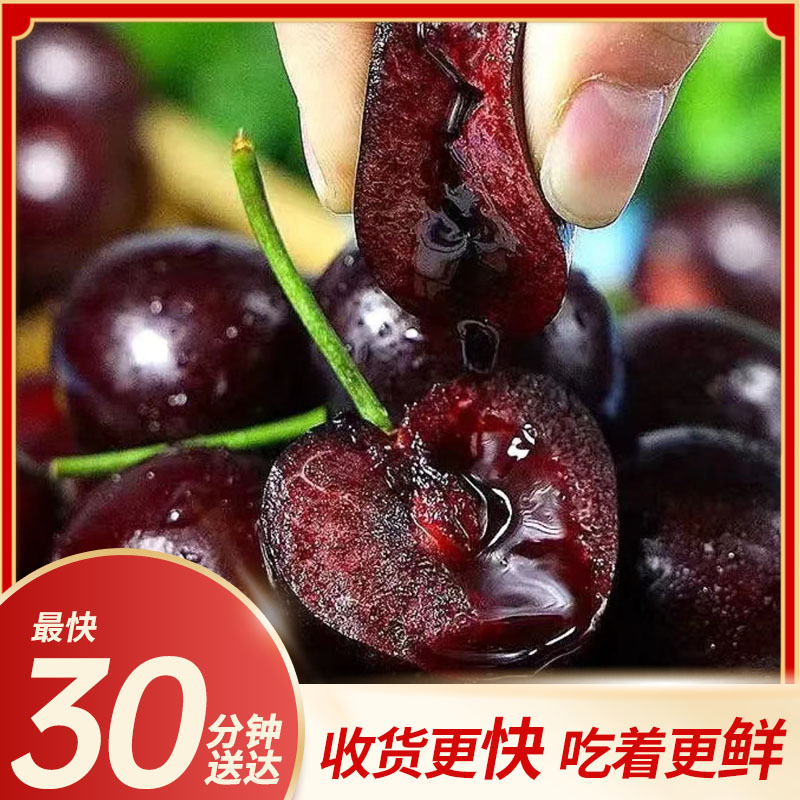 【小时达-拉宾斯5JD/4JD/3JD】 智利进口车厘子【5斤原箱】未拆封 更新鲜