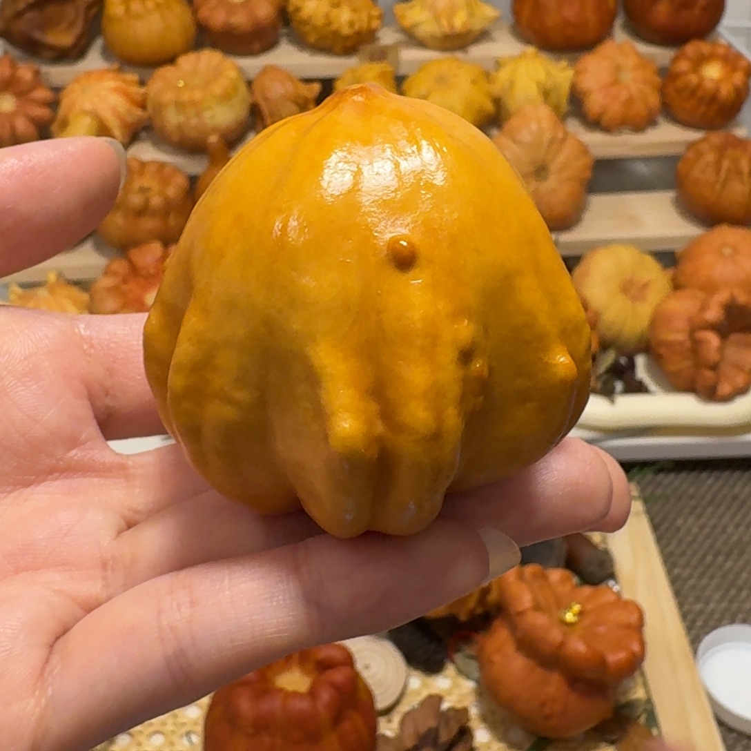 墨西哥葫芦章鱼可爱