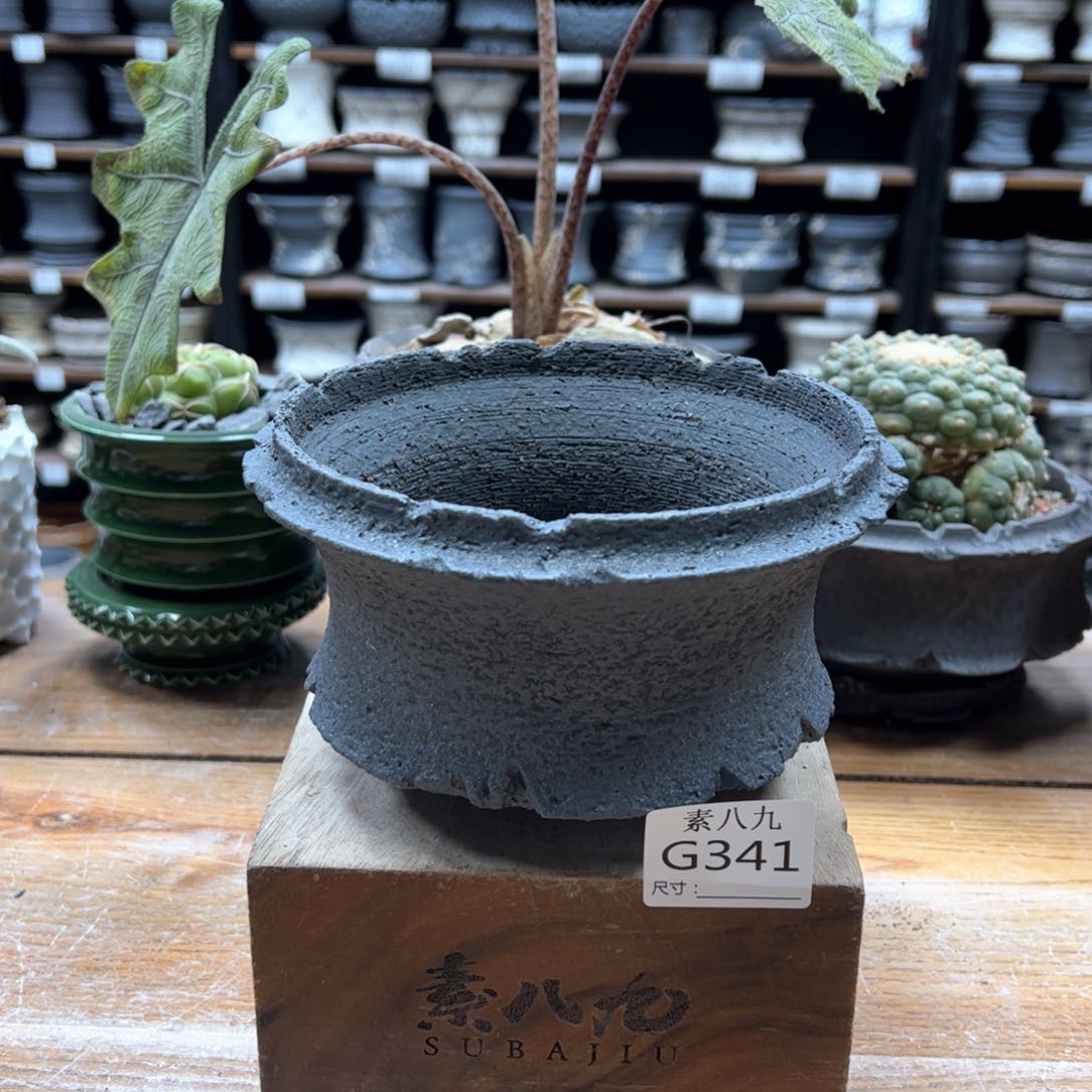 素八九陶瓷内口14.5高10