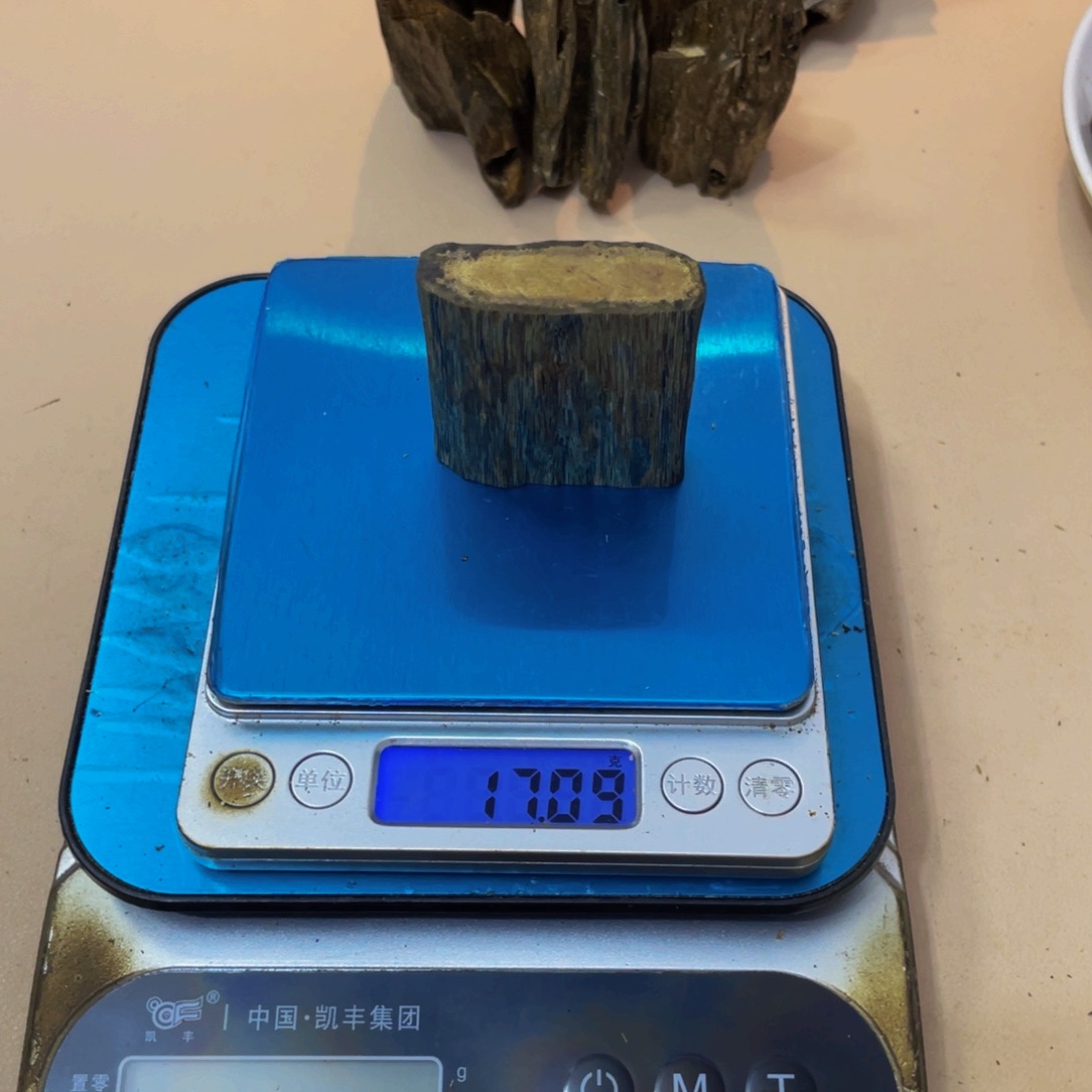 摆件沉香木延****父金沙叶块料17克