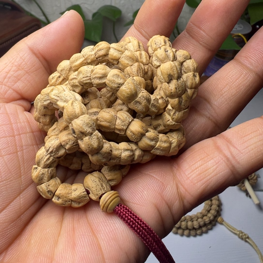 柏香籽/百香籽吊坠大肠