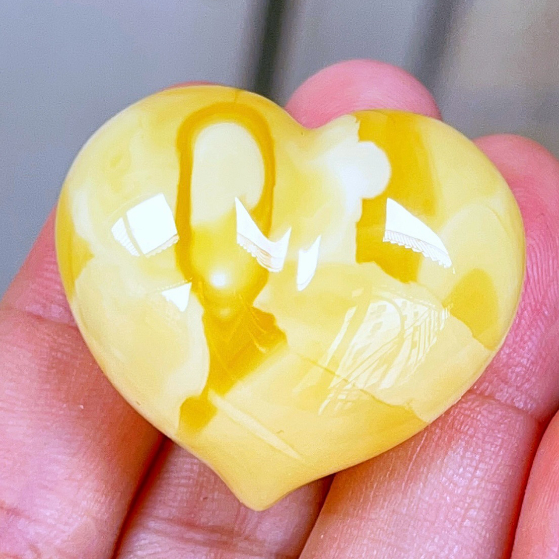 焦皮料白花蜡屁桃