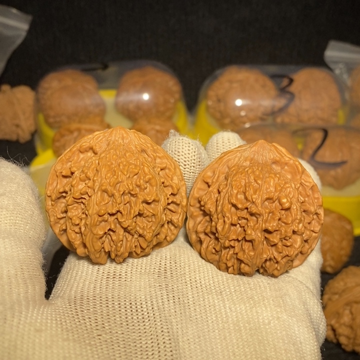 满天星狮子头43尺新春福利
