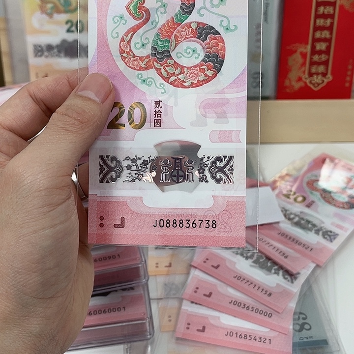 塑料蛇钞-6738——————