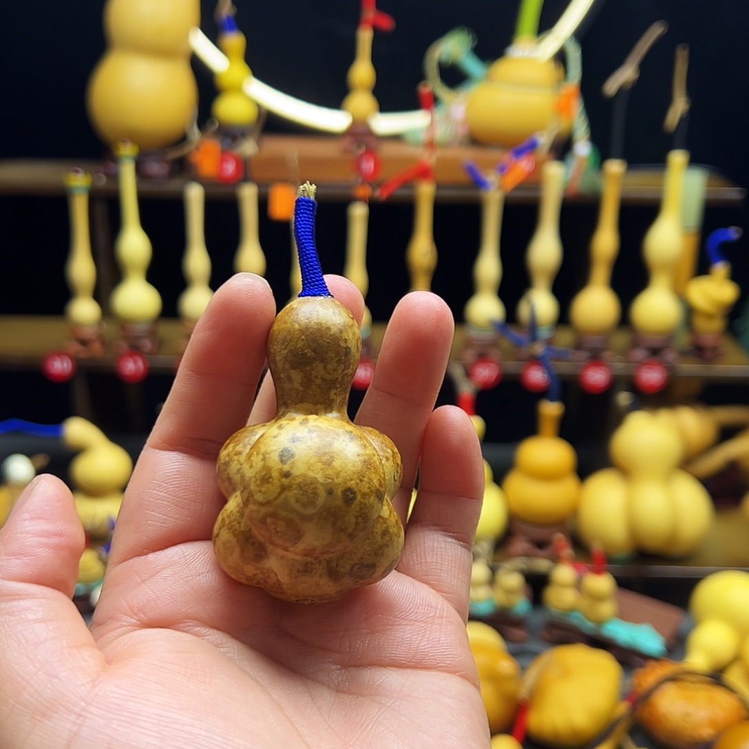 海***i直播间放漏葫芦小乌龟