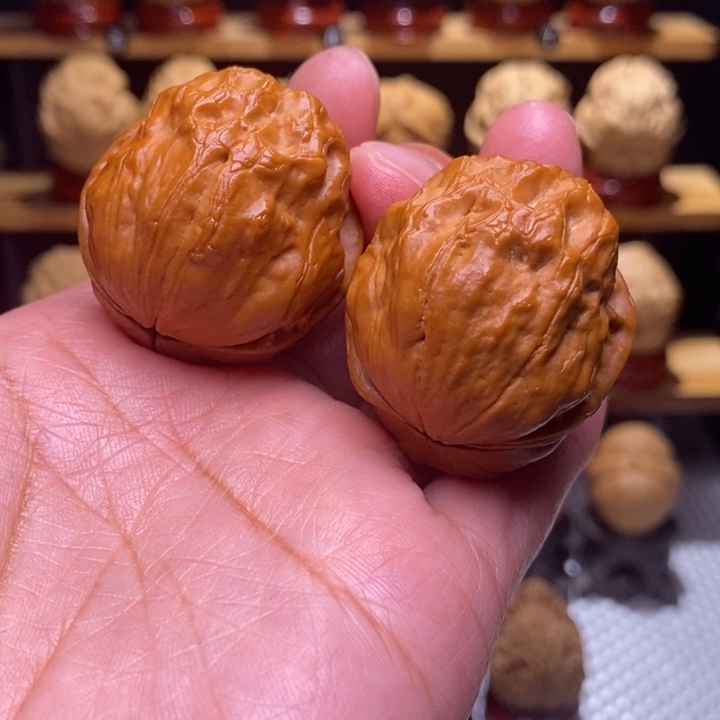 木质类云铁鹿鱿96号