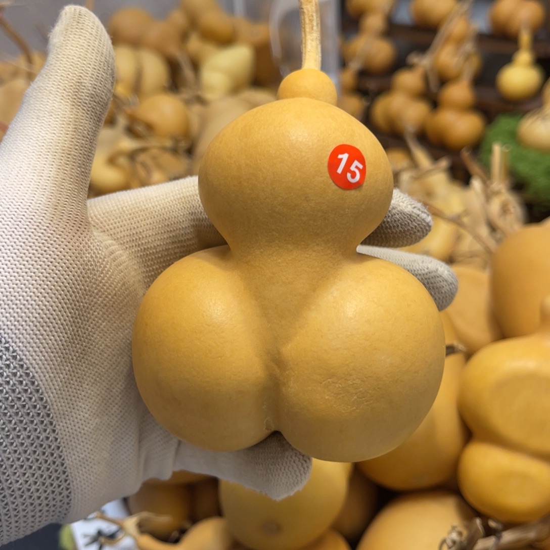 15号闪拍葫芦（价格很低，No退No换）